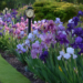 GenAI Image of Irises with a distorted clock on a lamppost